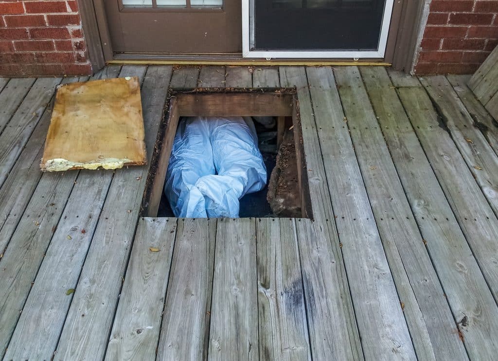 assured insulation crawl space encapsulation 1024x742